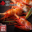 特大プリプリ ボタンエビ500g(9-11尾)【2個で送料無...