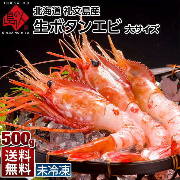 礼文・利尻島産　生ボタンエビ　大　500g 【配達指定日不可...