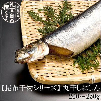 【生干し昆布干物】丸干し鰊(にしん)旨さの秘密は自慢の【利尻昆布】にあり！一尾あたり200g〜250gサイズお腹に入った数の子も美味！旨さにこだわり、高級利尻昆布使用♪