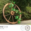 ガーデン 木製 車輪 エクステリア おしゃれ車輪トレリス(日・祝 配達時間帯 指定不可)