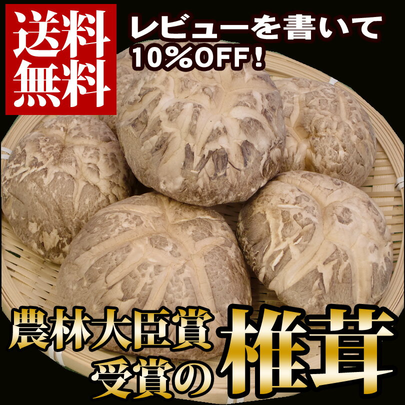 【送料無料】匠庵特選乾物「農林水産大臣賞椎茸140g」【農林水産大臣賞を受賞した愛媛産の極上しいたけです】【レビュー割り】