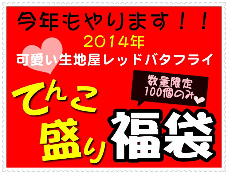 100個限定(もう100個追加分)！2014年★可愛い生地屋レッドバタフライのてんこ盛り福袋（送料込）　生地　布　カットクロス　セール　激安　布地　手芸数量限定100個限り！同梱商品送料無料！！