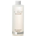 AKZENTZ(アクセンツ)ジェルクリーナー 480ML【ジ...
