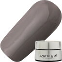 パラジェル para gel アートカラージェル2g AMD45 ブランクィーン【お取り寄せ】【メール便(ネコポス)対応】【ジェルネイル/カラージェル/マット】