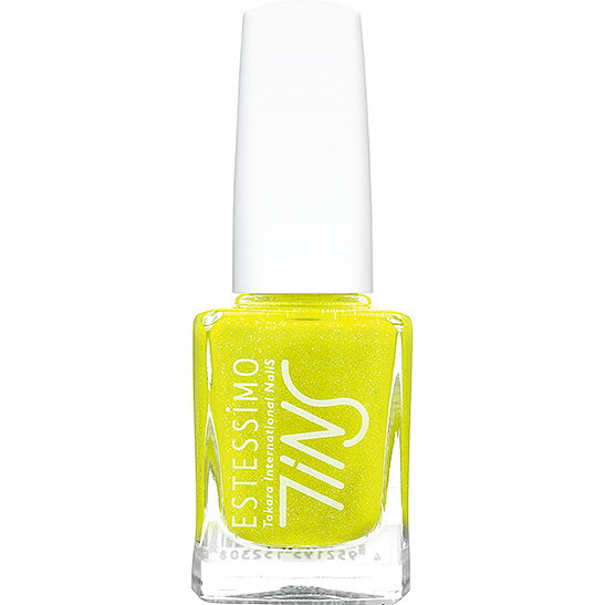 TiNSʥƥ̥ƥ󥺡˥顼0722009Festiveեƥ֡