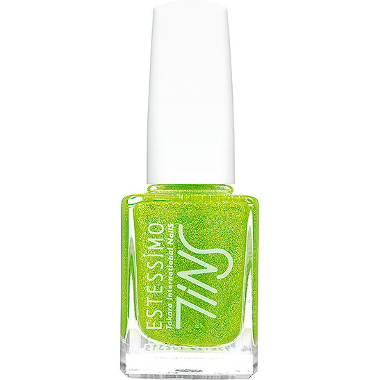 TiNSʥƥ̥ƥ󥺡˥顼0732009Festiveեƥ֡