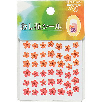 TiNSʥƥ̥ƥ󥺡ˤ֥C