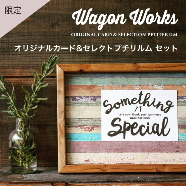 Wagon Works コラボ商品 オリジナルカード&セレクトプチリルムセット【木目柄/男前/DIY/日本製/ワゴンワークス 】