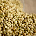 ちょっと珍しいパクチーの種のオイルです。コリアンダーシード(Coriander Seed)10ml天然100%のエッセンシャルオイル(精油)(手作り石鹸 香水 バスボム バスソルト アロマペンダント サシェ ディフューザー用)