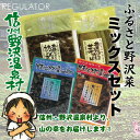 長野県の母の味セット【信州野沢温泉村】ふるさと野沢菜ミックスセット