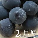 【ご予約商品】【農家産直】【ギフト】【送料無料】【葡萄】【取...