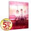 【中古】ストロボ・エッジ 豪華版 / 廣木隆一【監督】 2,528円