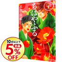 【中古】ちはやふる 31/ 末次由紀...