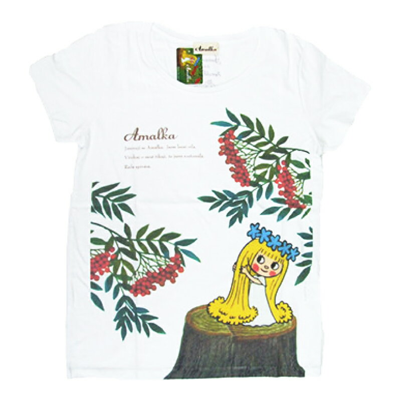 A}[J TVc zCg TVc fB[X   䒷 LN^[ ObY