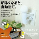 フットライト センサー 送料無料 コンセント式 人型デザイン 夜間自動点灯ライト フットライト LED 足元灯 センサー ライト スマートナイトランプ センサーライト led コンパクト led電球 ledライト LEDライト