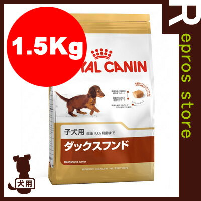 BHN　ダックスフンド　子犬用　1.5kg　ロイヤルカナン▼a ペット フード ドッグ 犬 パピー ブリードヘルスニュートリション【レビューでお得】ダックスフンドのために考えたこだわりのひと粒