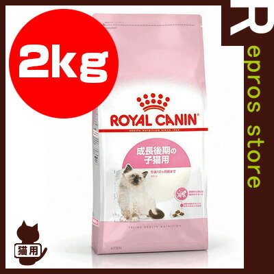 【あす楽対応】FHN キトン 2kg ロイヤルカナン▼gペットフードキャット猫子猫フィーラ…...:repros-store:10000228