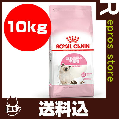 【送料無料】FHN キトン 10kg ロイヤルカナン▼g ペット フード キャット 猫 子…...:repros-store:10000236