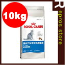 FHN　インドア 10kg　ロイヤルカナン▼a ペット フード キャット 猫 成猫 アダルト 室内 フィーラインヘルスニュートリション