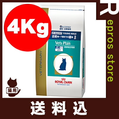 【正規品】【送料込】ベッツプラン 猫用 メールケア 4kg ロイヤルカナン▼b ペット フード キャ...:repros-store:10007882