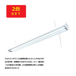 （2台セット）LED<strong>蛍光灯</strong>2本付属 LED直管専用<strong>40形</strong>x2灯器具 チェーンスイッチ 電源コード 吊下げ用チェーン付 送料無料 (沖縄・離島を除く) 節電 電気代節約