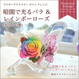 【送料無料】 暗闇で光るバラ＆レインボーローズ プリザーブドフラワー /誕生日/送料無料★ガラスの靴　ハイヒール★ブリザーブド（お祝い 結婚祝 ギフト 引越祝い プリザード フラワー ブリザード プロポーズ）あす楽 2016年楽ギフ_包装　記念日　シンデレラ