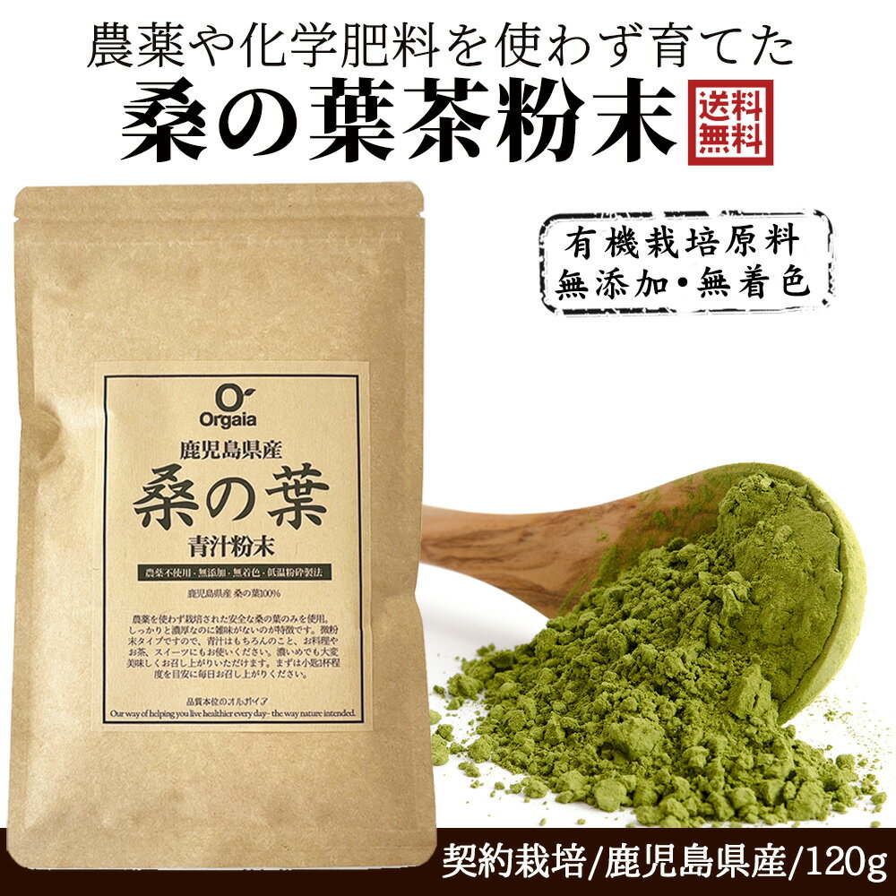 農薬 化学肥料不使用 <strong>桑の葉</strong>茶<strong>粉末</strong> 青汁 お得な120g 100%桑茶パウダー 鹿児島県産 国産【完全無添加・低温粉砕製法】<strong>桑の葉</strong>茶・ダイエット/糖質制限/サプリメント 送料無料 無農薬