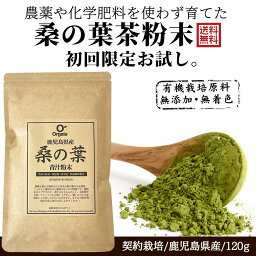 ＼ 今売れてます／「1位受賞」<strong>桑の葉</strong>茶 <strong>粉末</strong> 青汁 しっかり120g 国産 鹿児島県 大隅半島産 100%桑茶パウダー 初回お試し【完全無添加・低温粉砕製法】桑茶<strong>粉末</strong>/ダイエット/糖質オフ/ サプリメント 送料無料