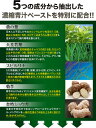 【ポイント5倍】食物繊維たっぷり い草濃縮青汁粒 90粒