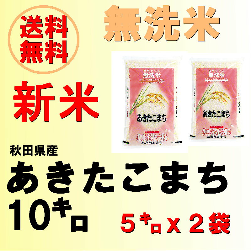 ̵ƽĸޤޤܾ̣򤪳ڤߤ̵ơ20ǯĸޤ10kg(5kgx2) ̵ 2P20Feb09 yo-ko118