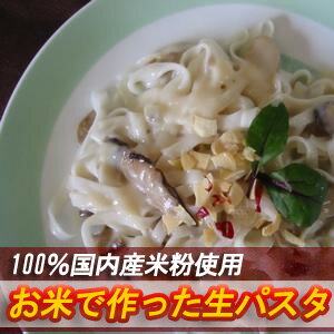 五大アレルギー物質不使用★お米の生パスタ【100％国内産生米粉麺】100％国内産米粉。デュラム小麦粉のパスタにも勝るとも劣らぬおいしい味・食感です。＊注文から発送まで数日かかることもありますのでご了承ください。