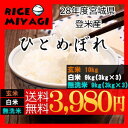 【送料無料】28年度宮城県登米産 ひとめぼれ 10
