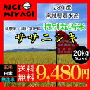 【送料無料】28年産【特別栽培米】宮城県認証ササニシキ 20kg (5kg×4袋)玄米/白米/無洗米 要選択宮城県登米産減農薬・減化学肥料【あす楽対応】