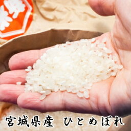 令和5年産【送料無料】高級感_和紙袋宮城県産 ひとめぼれ 5kg 宮城県登米産 一等米 [玄米/白米/<strong>無洗米</strong>]選択可能※玄米はクラフト袋【あす楽対応】