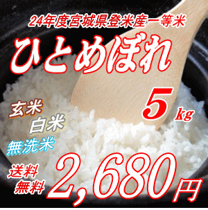 24Nx {錧oĎYЂƂ߂ڂ 5kg ꓙ[//]I\ySSspecial03mar13_foodz