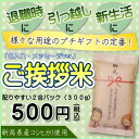 【引越し 挨拶 ギフト】新潟産コシヒカリ2合(300g) お...