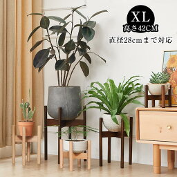 【GWセール★30％クーポンで3493円】rico collection XL 42×28CM プランタースタンド フラワースタンド 天然木 2色 観葉植物 室内 鉢台 フラワーポット ブナ 植木鉢台 インテリア 円形 丸脚 十字 木製 北欧 プランター <strong>花台</strong> <strong>屋外</strong> 観葉植物 ガーデニング 母の日