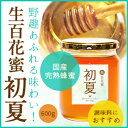 【生百花蜜/初夏600g】国産純粋 生 はちみつ 非加熱 国...