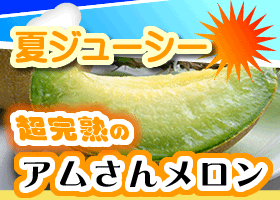 お中元に喜ばれます！アムさんメロン贈答用2玉入【ご予約商品】※発送期間は7月中旬頃から※天候により発送予定が変更になる場合あり