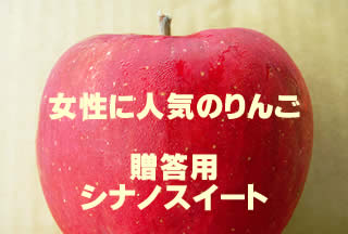 【予約受付中】シナノスイート家庭用3kg詰(約9〜12玉)※発送開始予定は10月25日頃〜！