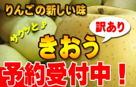 【予約商品】青森県産「訳あり」きおう5kg詰（14〜20玉入）※商品は9月5日頃から順次発送開始予定！ご予約は8月31日まで！