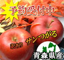 【予約商品】青森県産サンつがる訳あり5kg詰(約14〜23玉入)※発送は9月11日から開始予定!...