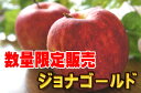 青森県産《訳あり》ジョナゴールド5kg（14〜23玉入）最終発送は7月中頃 +210円〜350円でクール便をお選びできます。希望される方は備考欄に明記ください。