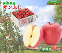 りんご サンふじ 訳あり 10kg 32~40玉 送料無料 青森県産 家庭用