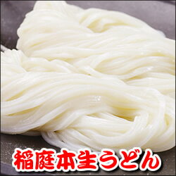 【同梱にオススメ】秋田稲庭うどん《本生2食》いなにわ生めん【送料別】送料無料商品と同梱で送料0円！ワンコイン500円