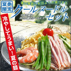 【送料無料】夏季限定 冷たい麺でクールビズ《麺とスープ4種8食》冷やし中華につけ麺、海草入りヘルシー麺も！秋田のご当地冷やし麺を食べくらべ《煮卵付》