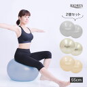 【即納/送料無料】 あす楽 バランスボール 55cm 2個セ...
