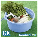 GK リスビッグタライ 丸100型排水栓付【たらい 洗濯 丸...