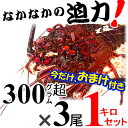 【おまけ有☆予約/10月発送】三重県産 活伊勢海老　【300g~400gサイズ 1kg】漁師直送 律丸の伊勢海老　贈答用のし無料対応!!　伊勢海老/伊勢えび/イセエビ/エビ/えび　