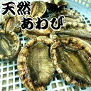 送料無料!【あす楽対応/即納】三重県産 活あわび【3〜5枚 500g入り】漁師直送 律丸 あわび/アワビ/鮑 【楽ギフ_のし宛書】【楽ギフ_メッセ入力】